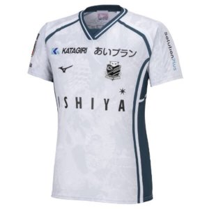 Hokkaido Consadole Sapporo 2024/25 Third Soccer Shirt