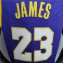 Los Angels Lakers Purple Lebron James #23