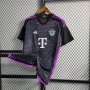 Bayern Munich 23/24 Away Soccer Jersey Football Shirt