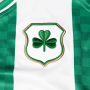 Shamrock Rovers Centenary Commemorative Soccer Jersey Shirt