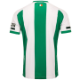 Shamrock Rovers Centenary Commemorative Soccer Jersey Shirt