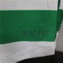 CELTIC 24/25 Home Shirt (Authentic Version)