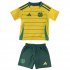 Kids Celtic 24/25 Away Soccer Kit (Shirt+Shorts)